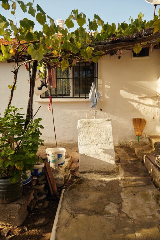 Beginner Tips for Composting at Home: Easy Steps to Start Today